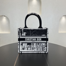 Dior Shopping Bags